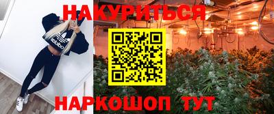 прущие крисы Кандалакша